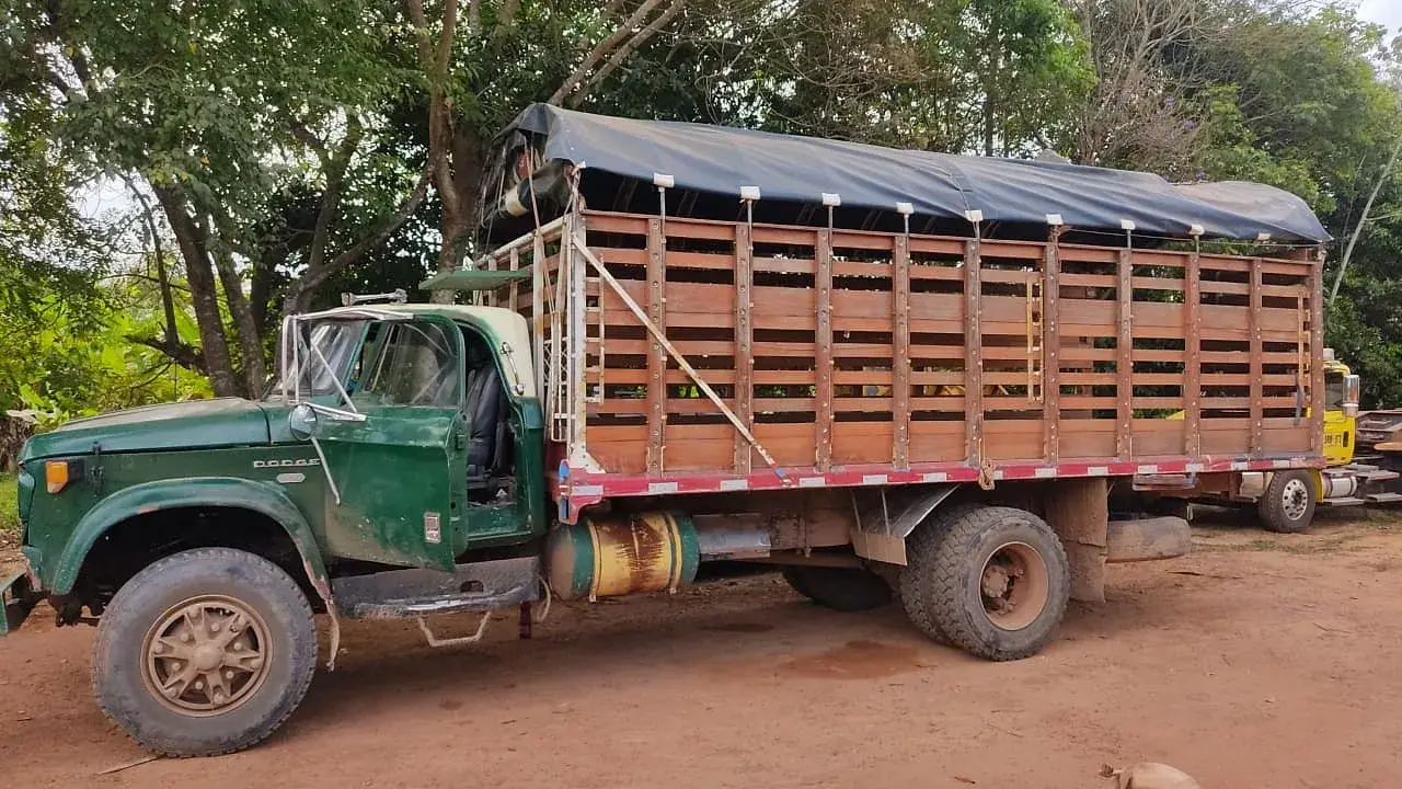 Camión de estacas con carpa para carga.