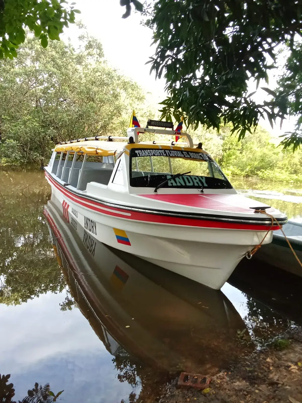 Yate de pasajeros amarrado en la orilla del río.